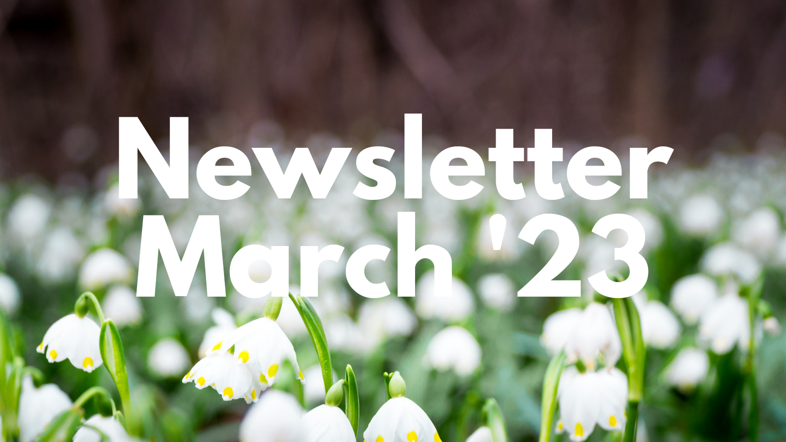Featured image for “Mar ’23 Newsletter”