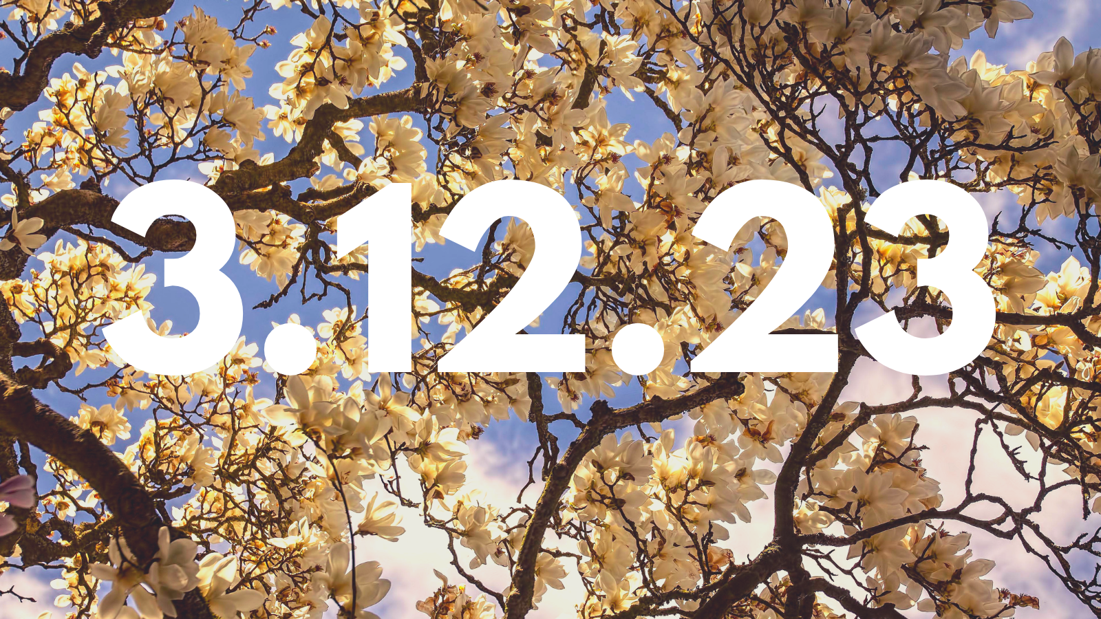 Featured image for “3.12.23”