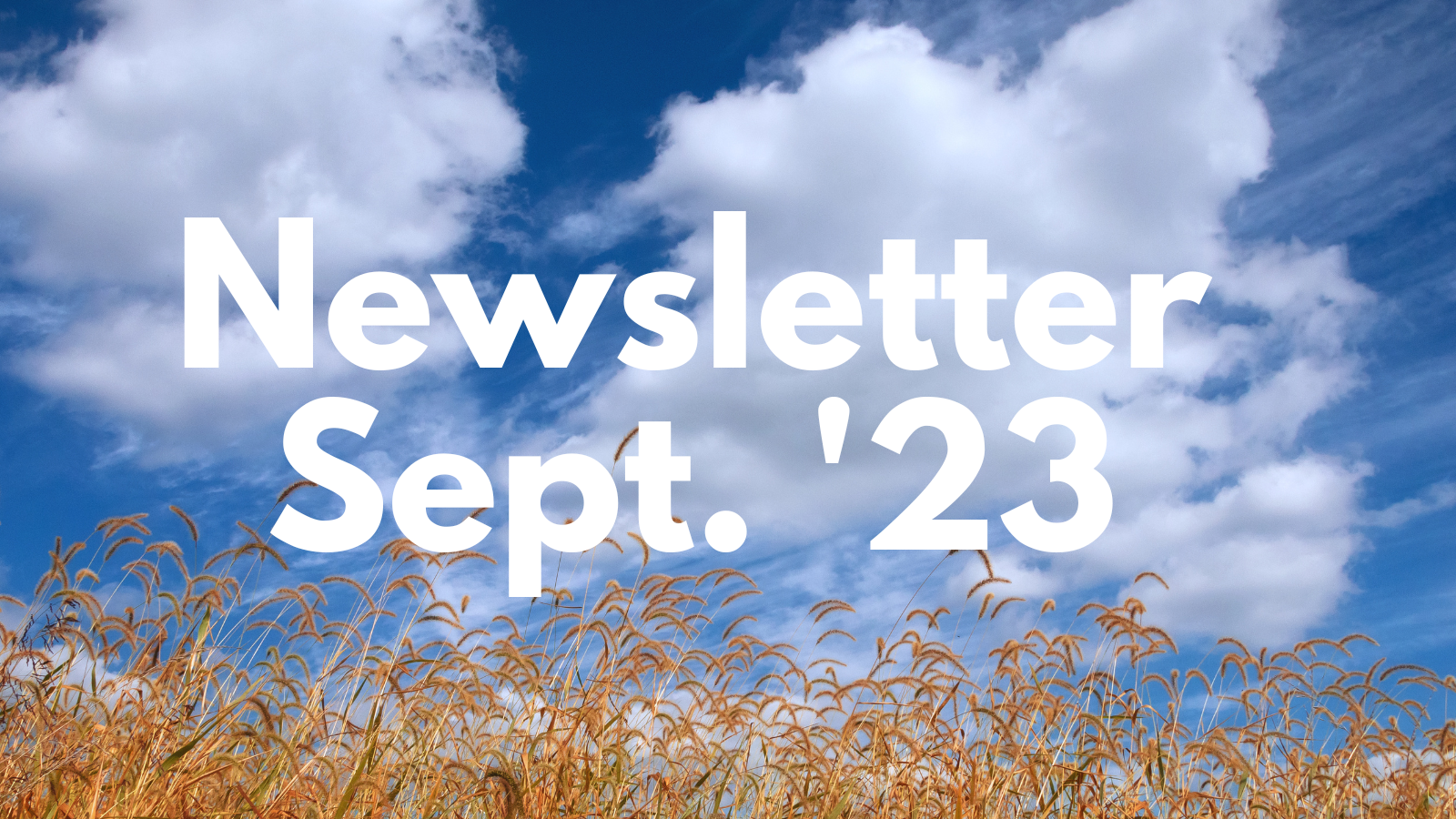 Featured image for “Sept  ’23 Newsletter”