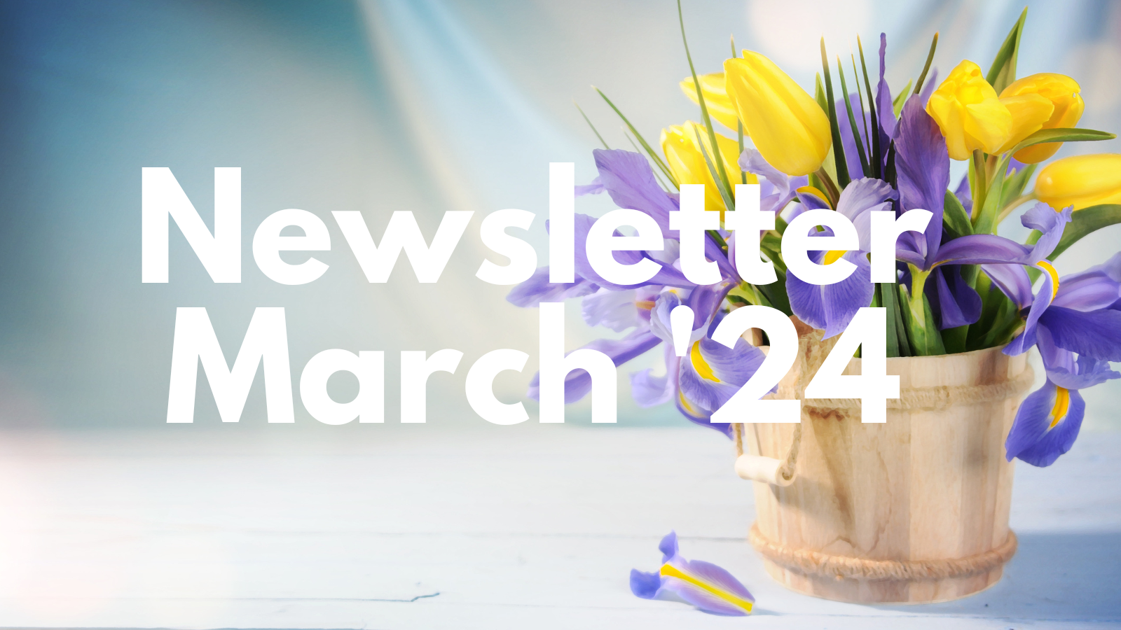 Featured image for “Mar  ’24 Newsletter”