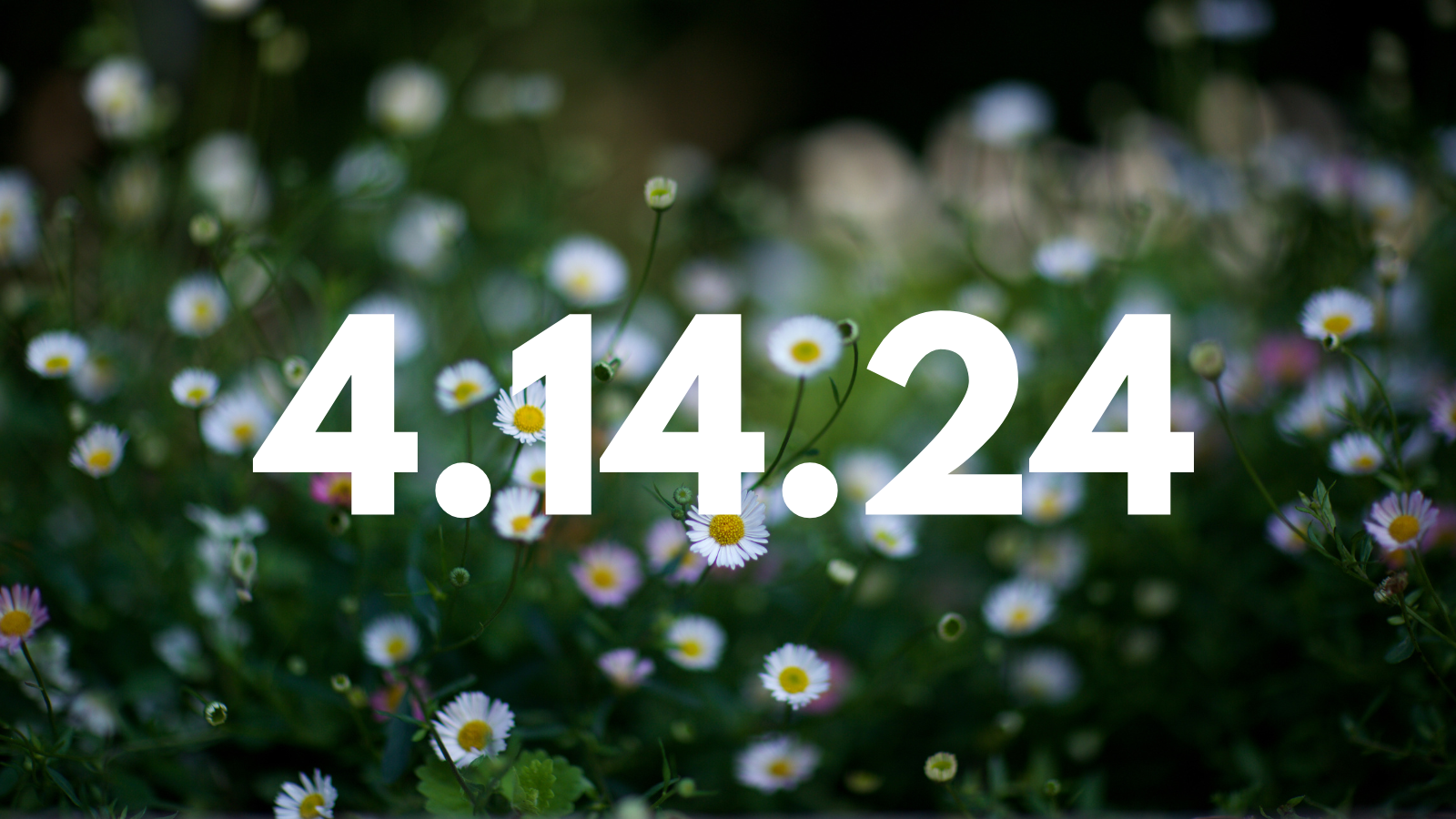 Featured image for “4.14.24”