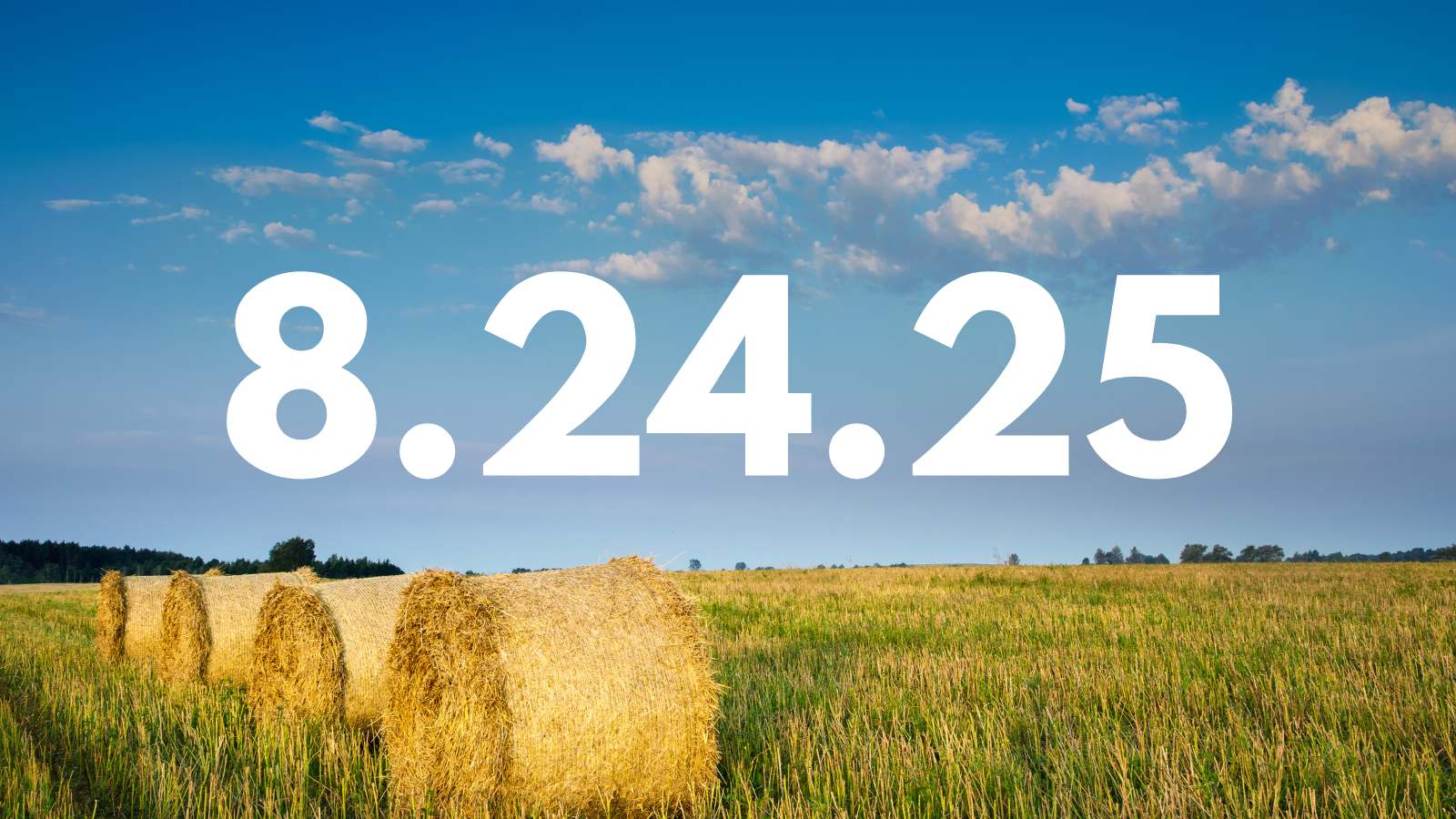 Featured image for “8.24.25”