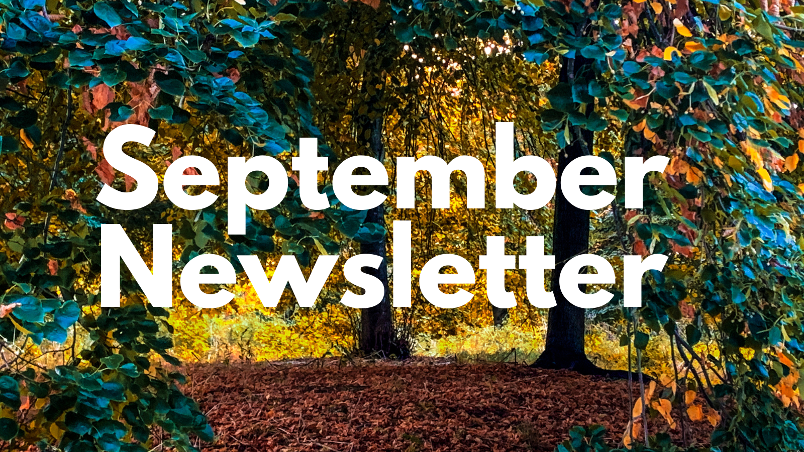Featured image for “Sept  ’25 Newsletter”