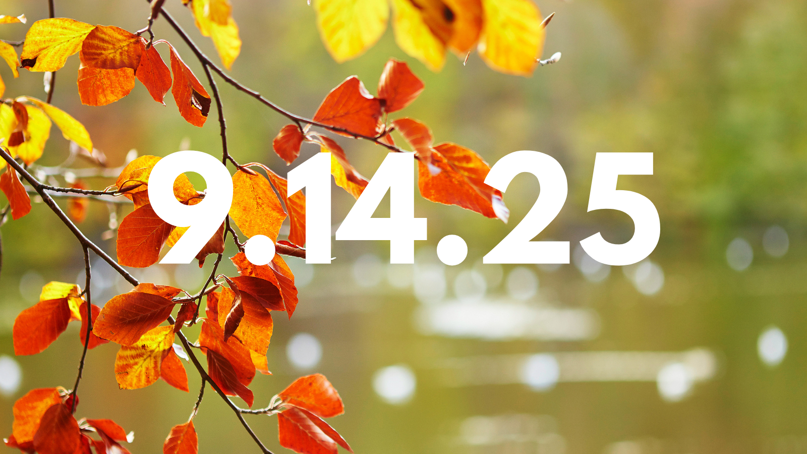 Featured image for “9.14.25”