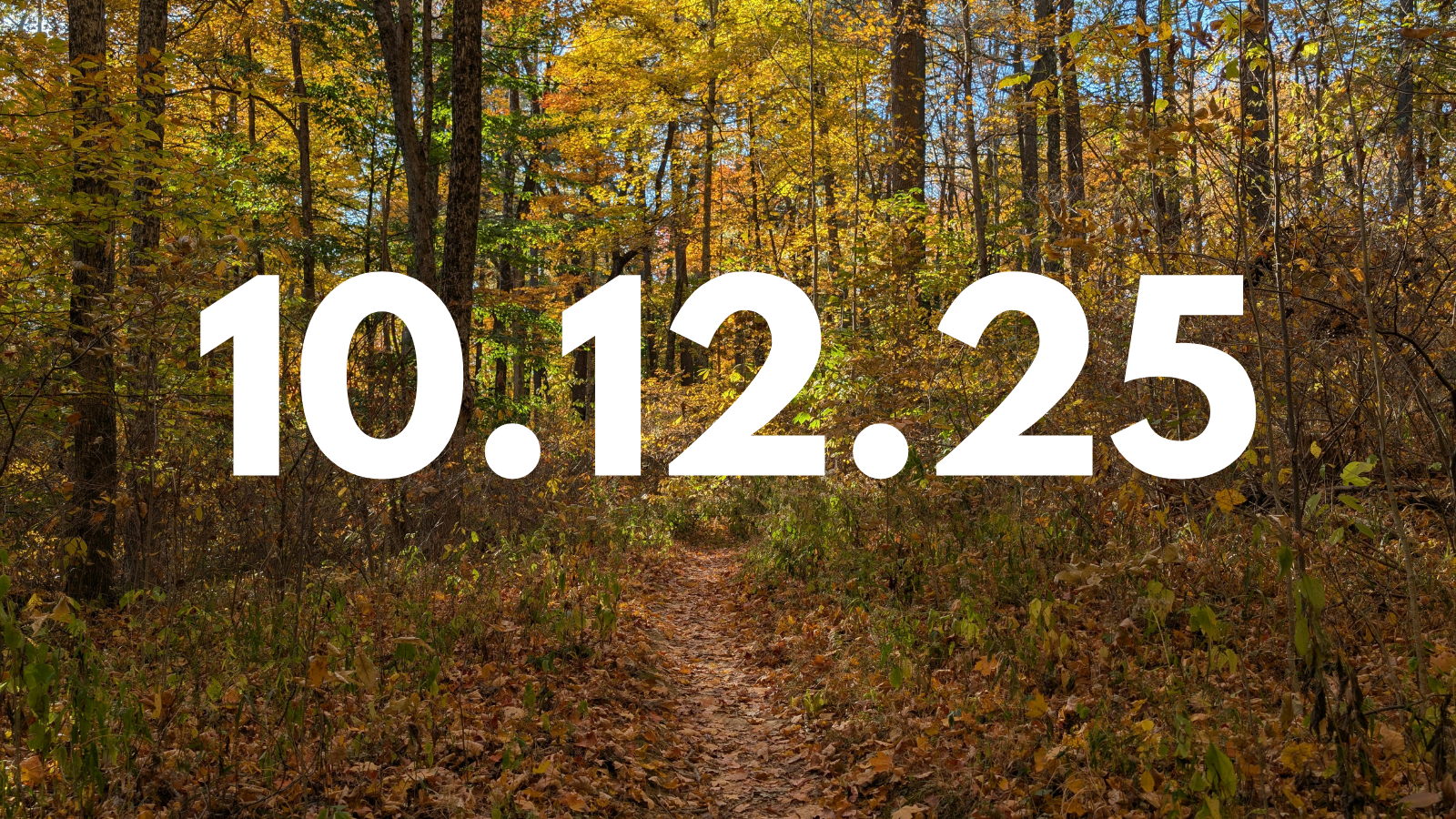 Featured image for “10.12.25”