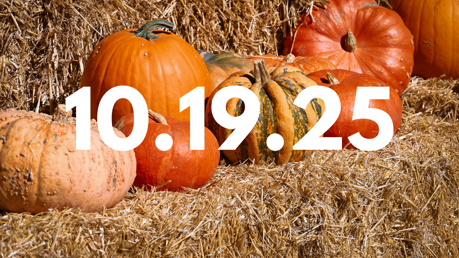 Featured image for “10.19.25”