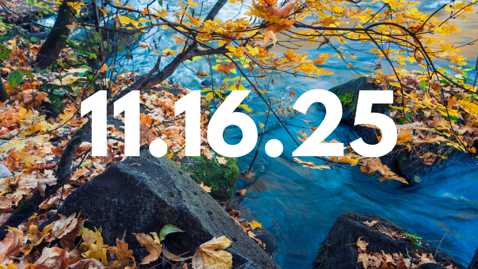 Featured image for “11.16.25”