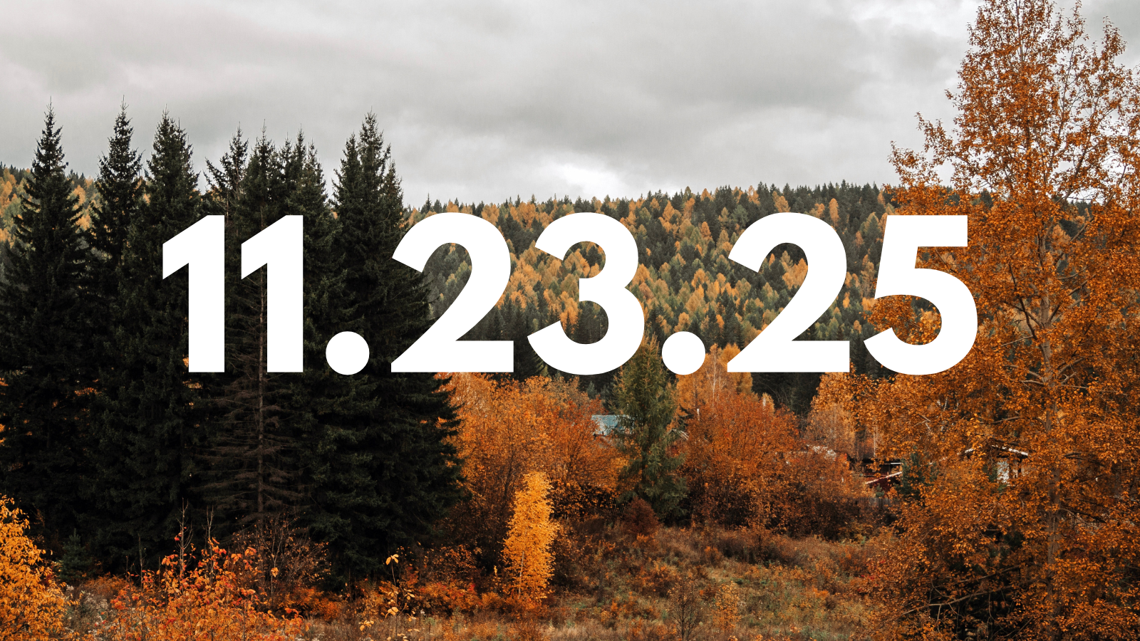 Featured image for “11.23.25”