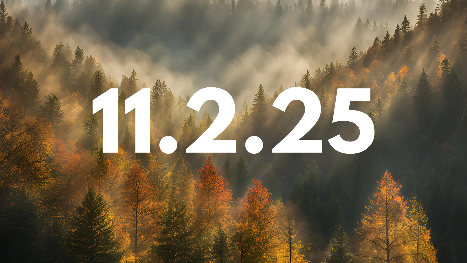 Featured image for “11.2.25”