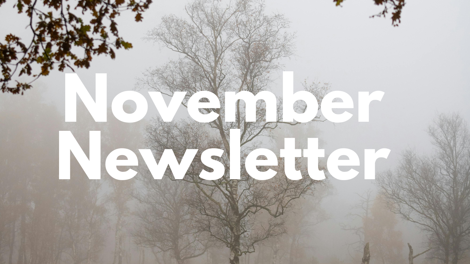Featured image for “Nov  ’25 Newsletter”