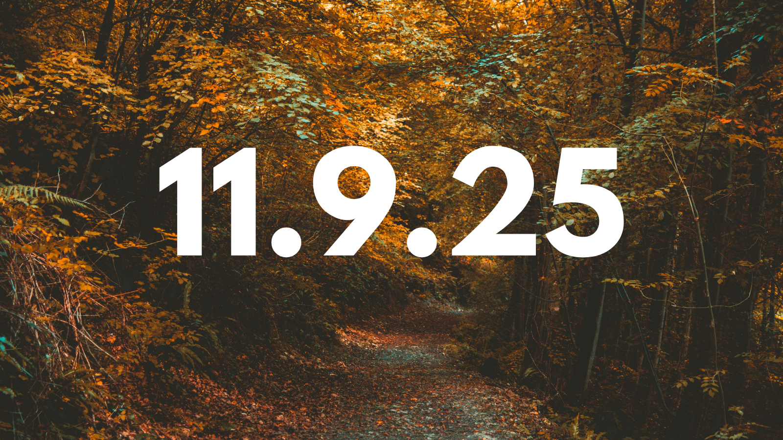 Featured image for “11.9.25”