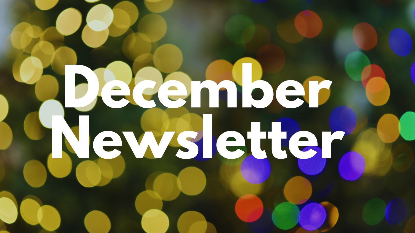Featured image for “Dec ’25 Newsletter”