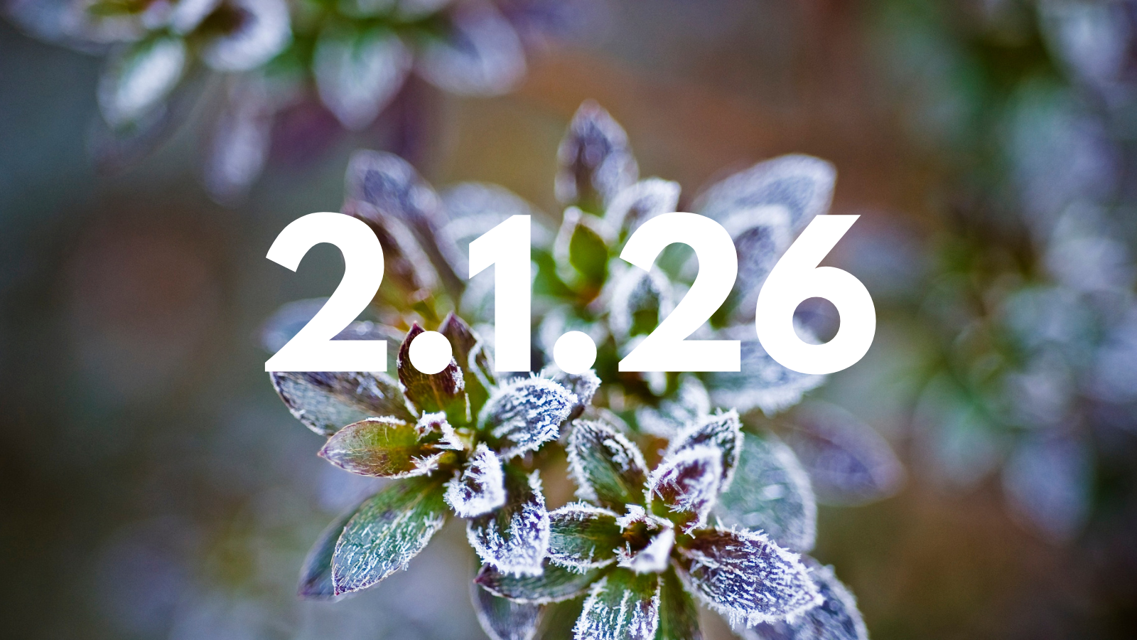 Featured image for “2.1.26”