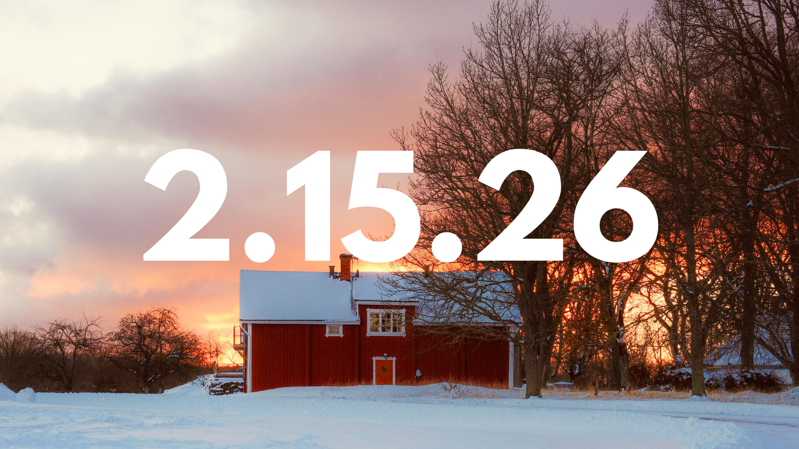 Featured image for “2.15.26”