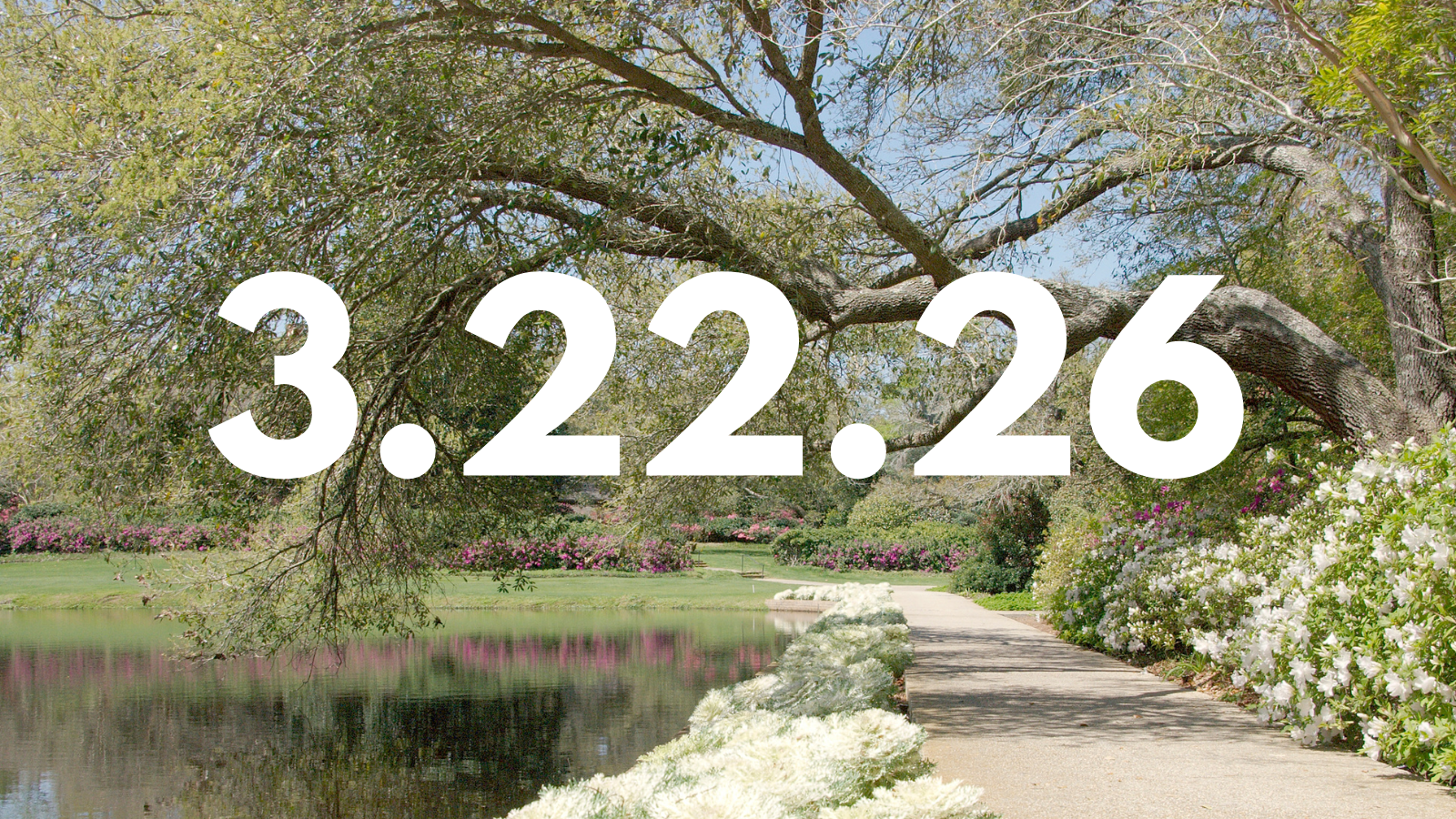 Featured image for “3.22.26”