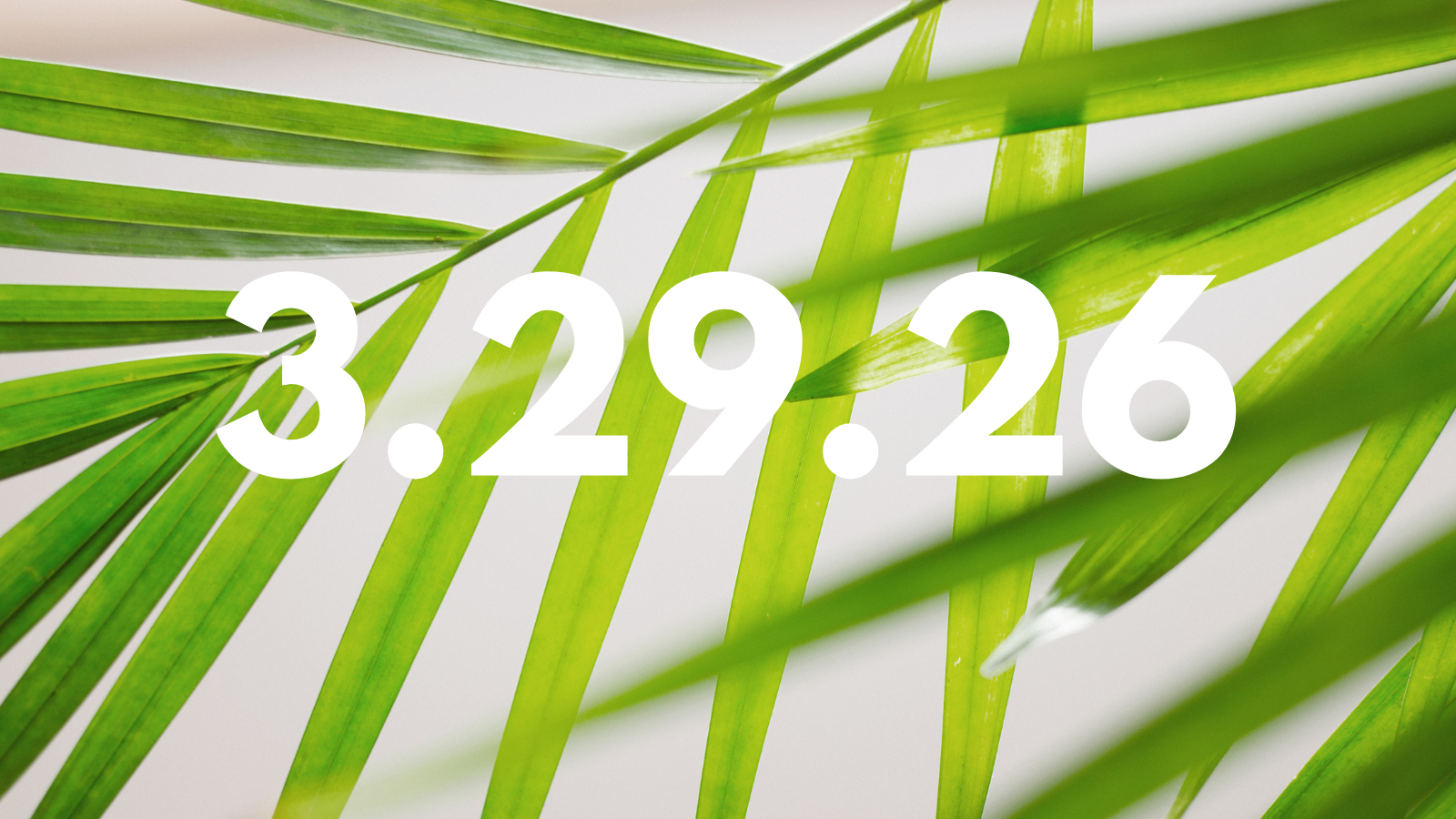 Featured image for “3.29.26”