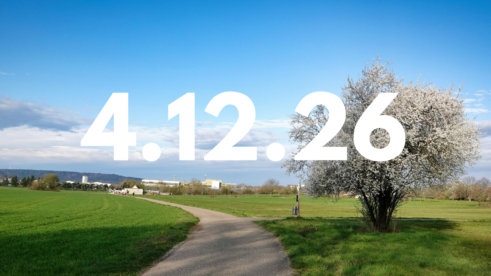 Featured image for “4.12.26”