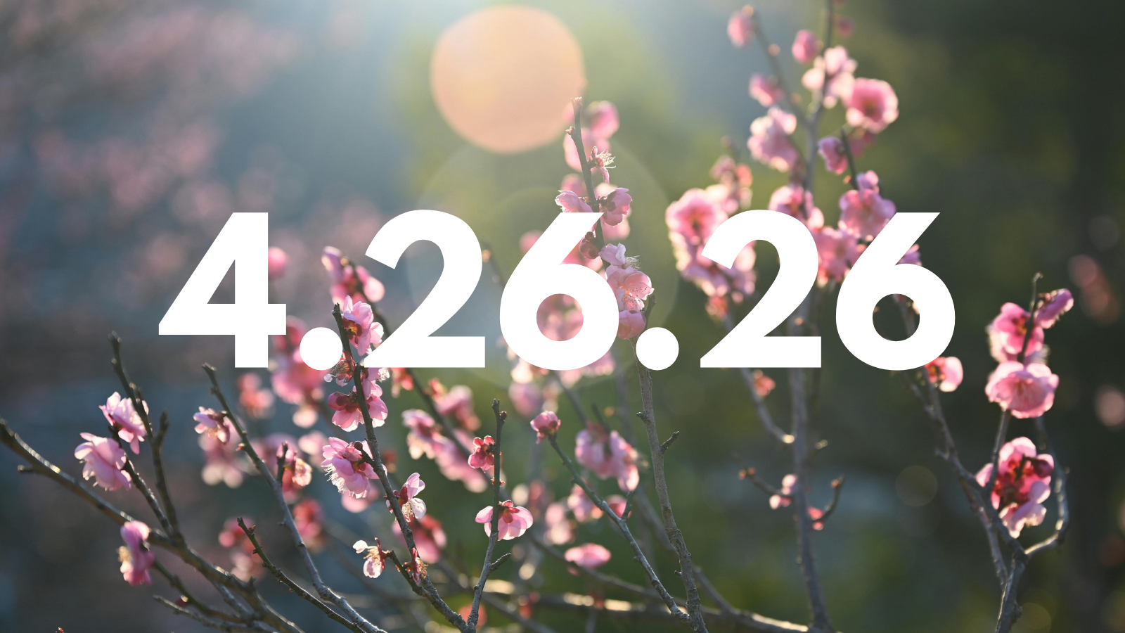 Featured image for “4.26.26”