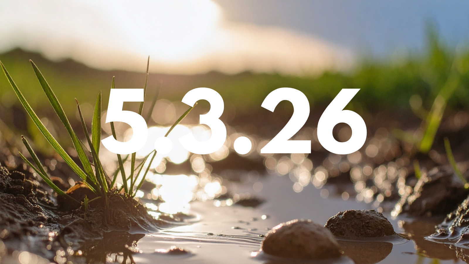 Featured image for “5.3.26”