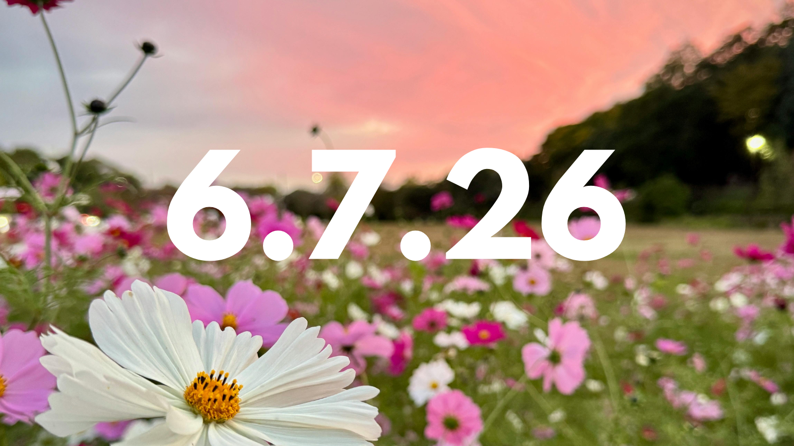 Featured image for “6.7.26”