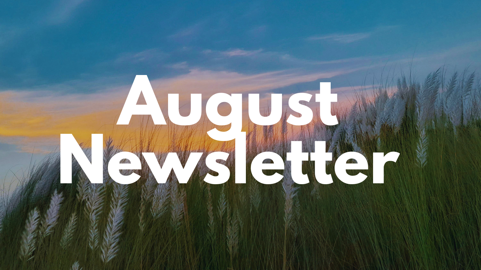 Featured image for “August  ’26 Newsletter”