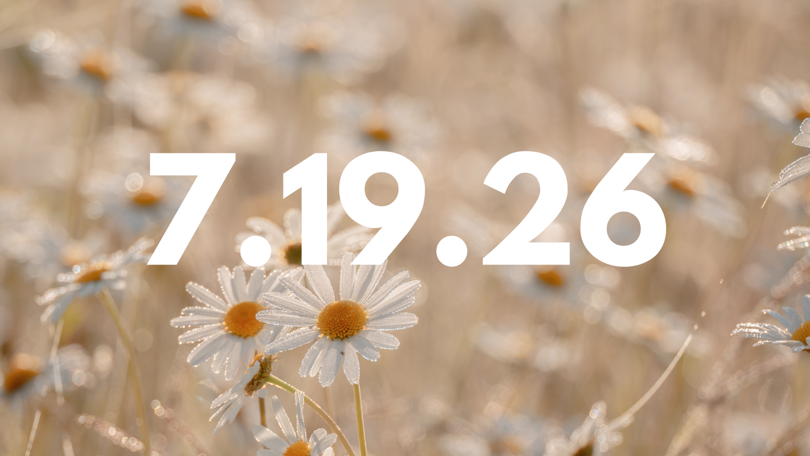Featured image for “7.19.26”