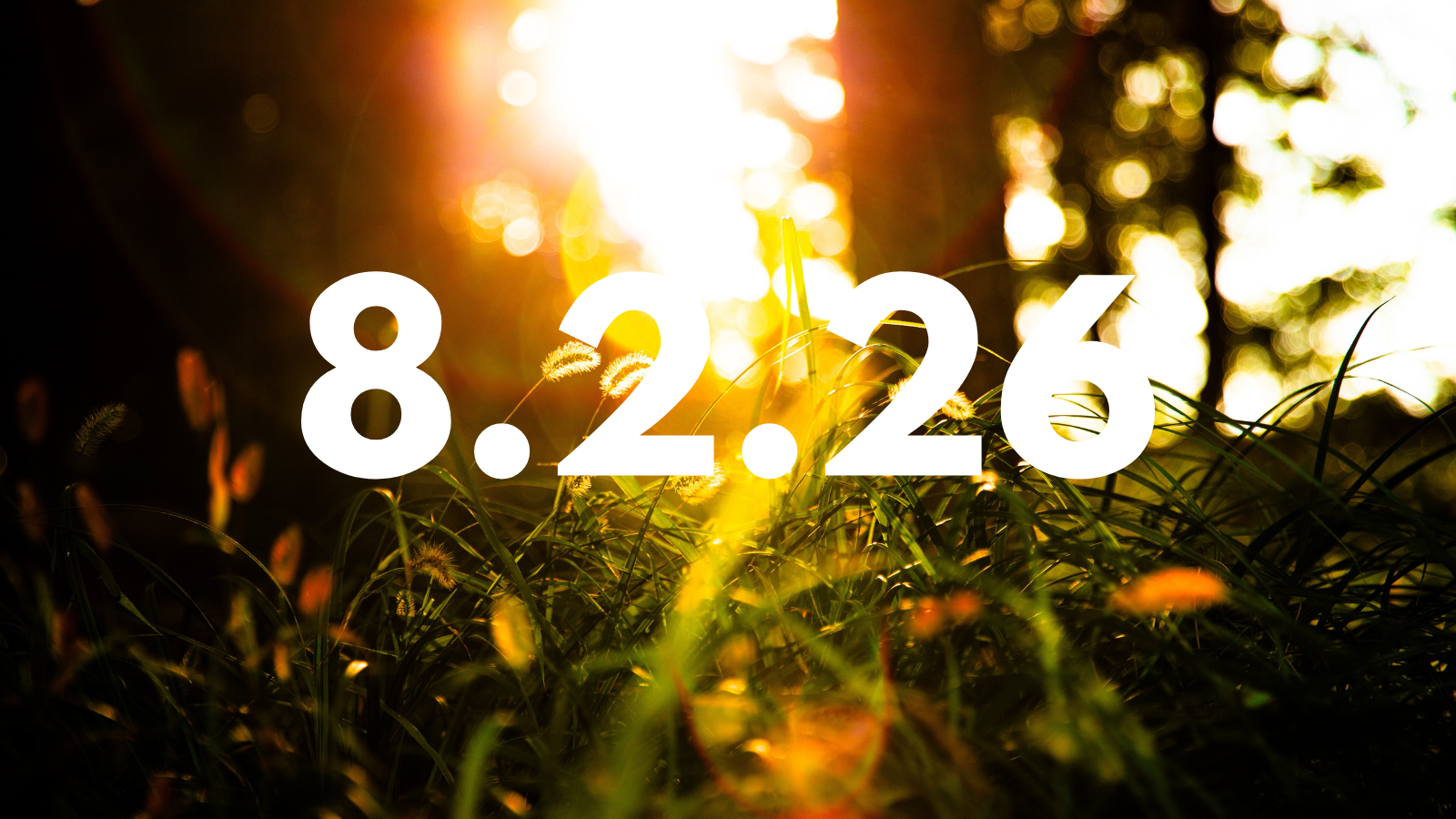 Featured image for “8.2.26”