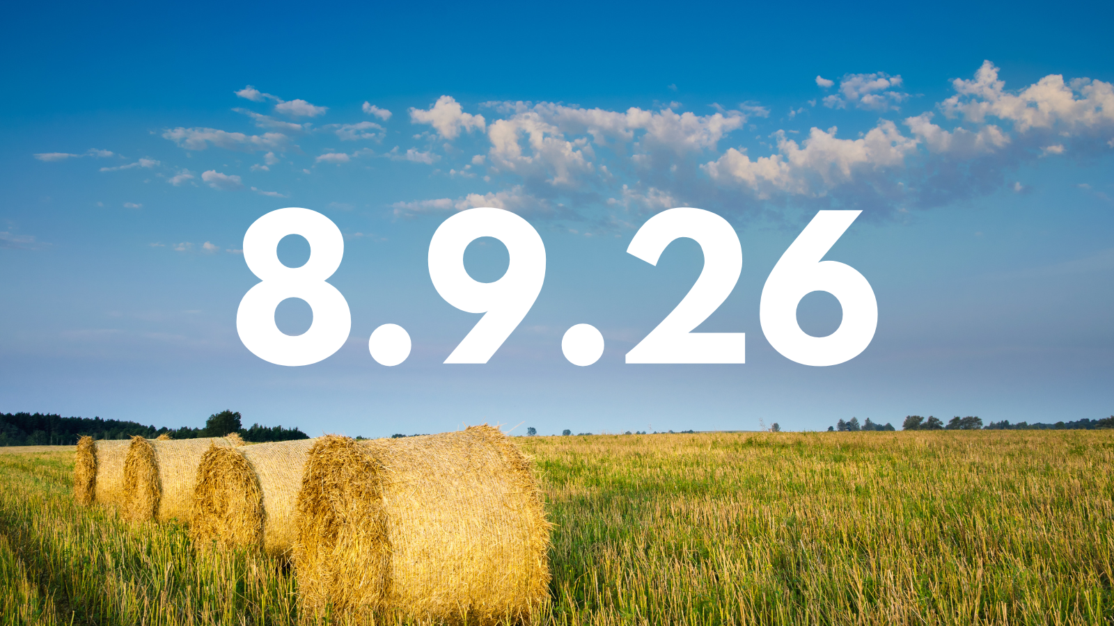 Featured image for “8.9.26”