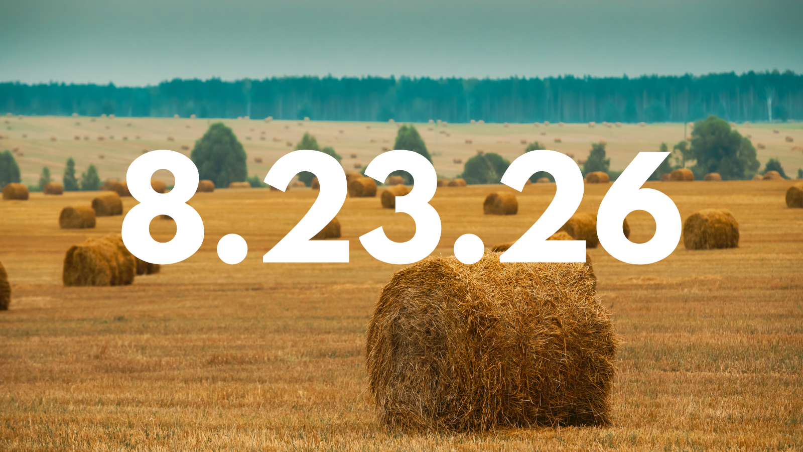 Featured image for “8.23.26”