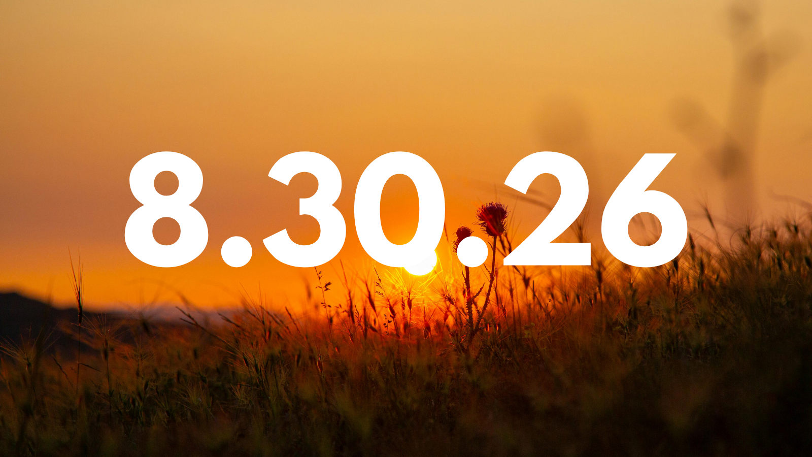 Featured image for “8.30.26”