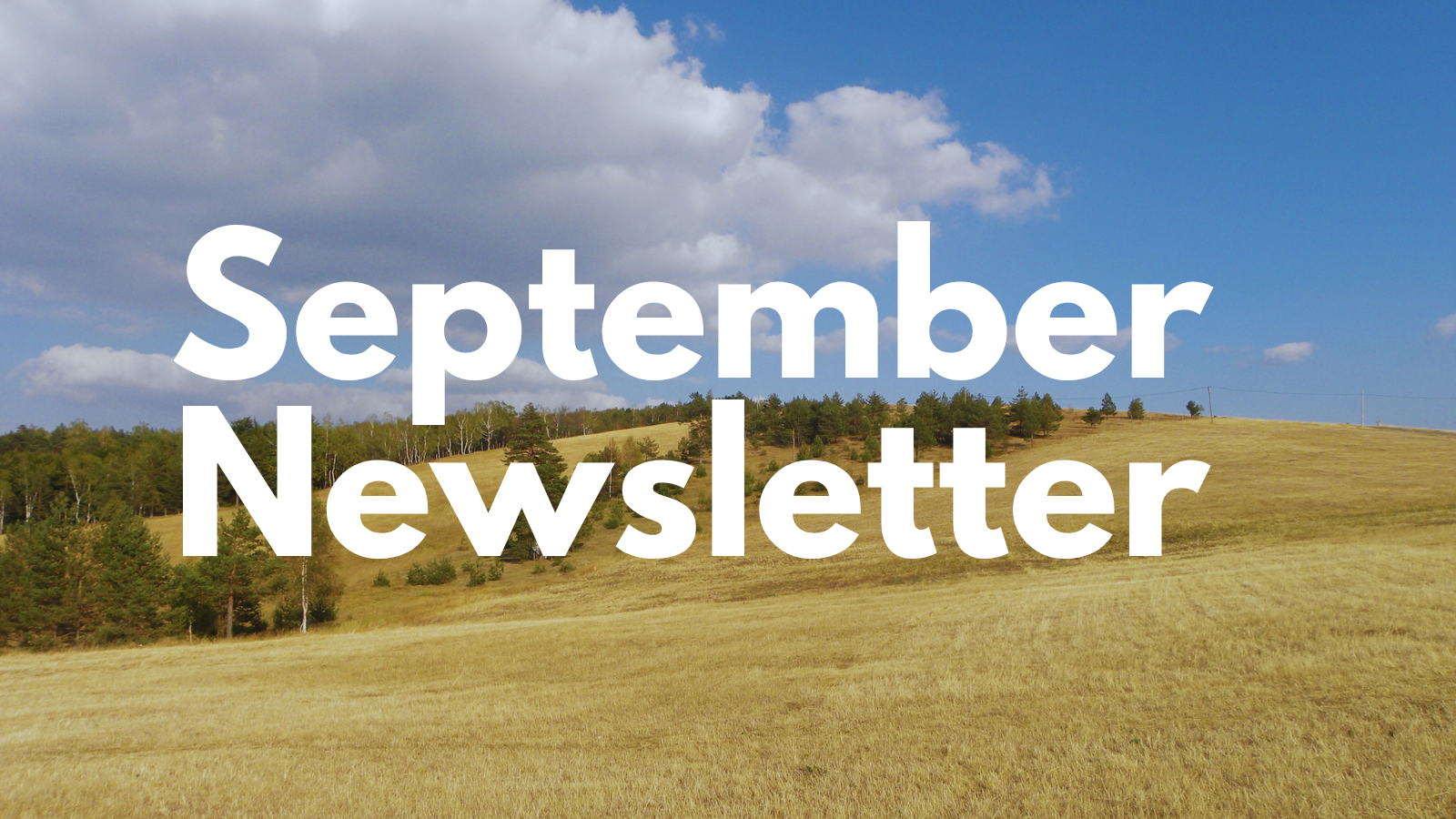 Featured image for “September ’26 Newsletter”